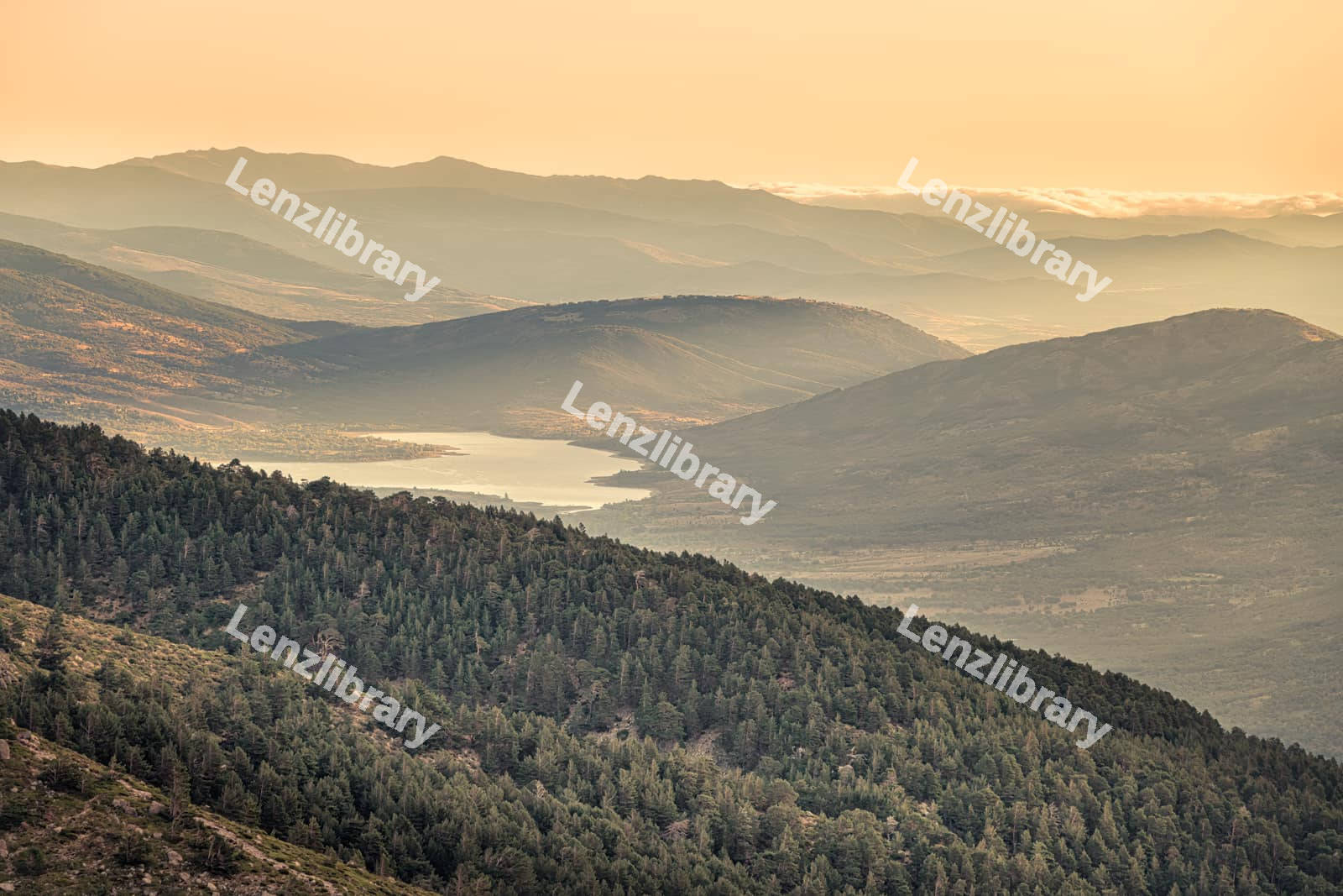 Natural landscape with beautiful vegetation